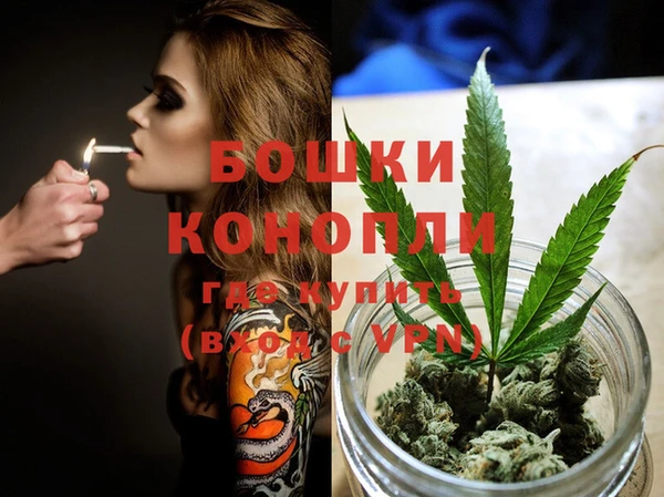 соль ск Инта