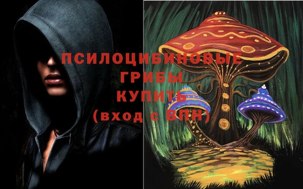 соль ск Инта
